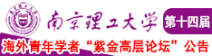 插我骚逼18南京理工大学第十四届海外青年学者紫金论坛诚邀海内外英才！